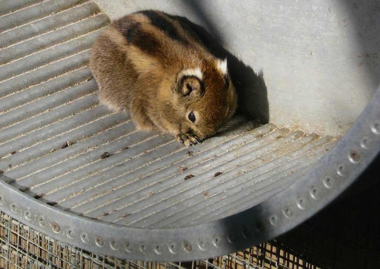 5 ok, amiért valójában utálod a munkád – és 5 működő tipp, ami segíthet kilépni a mókuskerékből